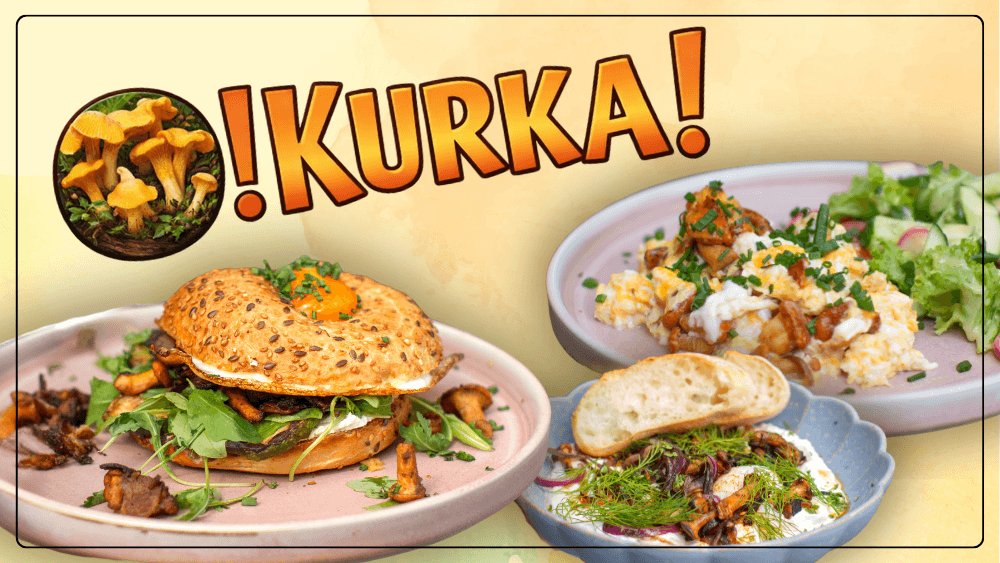 O! Kurki!